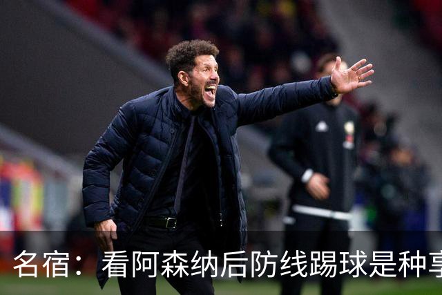 名宿：看阿森纳后防线踢球是种享受
